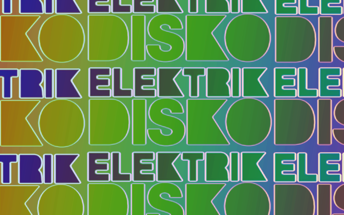 Burning Down The House With Elektrik Disko : Exclusive Interview