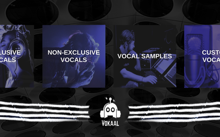 Vokaal Links Singers & EDM Producers For Successful  Collab – Helping both sides pay the bills with their music!