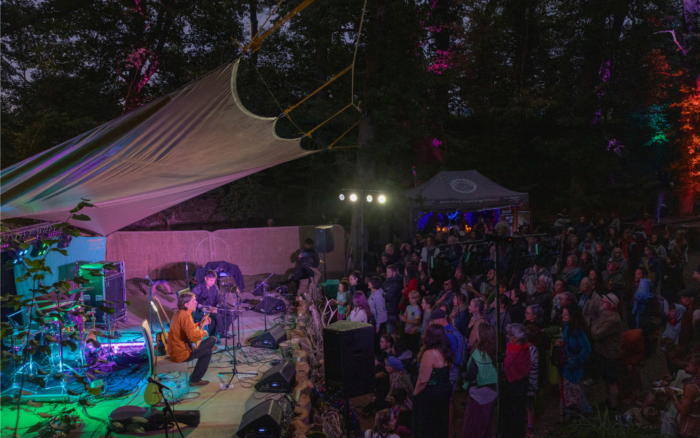 Into The Wild Festival Celebrates Twelve Years Of Music, Nature & Creativity This August